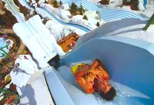 Disney Blizzard Beach Waterpark