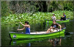 Wekiva Island