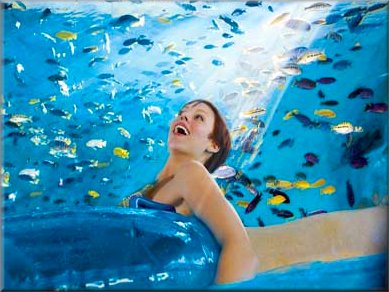 Aquatica - Tassie Twister