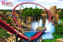 Busch Gardens - SheiKra Rollercoaster