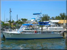 Crystal River - Swimming & Diving with Manatees