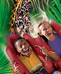 Busch Gardens - Rollercoasters are fun