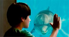Dolphin Tale - the movie about a dolphin that loses it's tail and is nursed back and has an artificial tail made for her