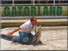 Gatorland Orlando - Massive Alligators at the Alligator Capital of the World