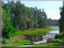 Lake Louisa State Park - Boardwalk, great walks in natural Florida wilderness