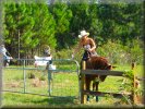 Lake Louisa State Park - fancy trying your hand at equestrain activities ?