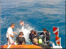 Little Deeper Charters - Diving on east coast of Florida