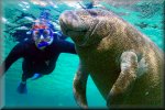Diving in Florida - excellent scuba diving locations