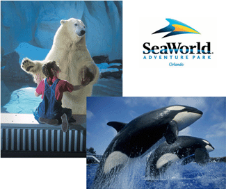 SeaWorld Orlando - Polar Bears & Shamu Show