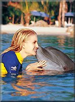 Discovery Cove - Swim with Dolphins