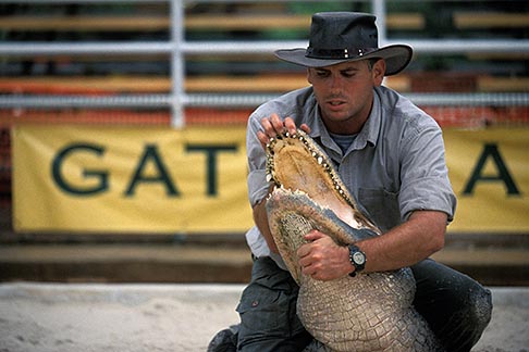 Gator Wrestling at Gatorland