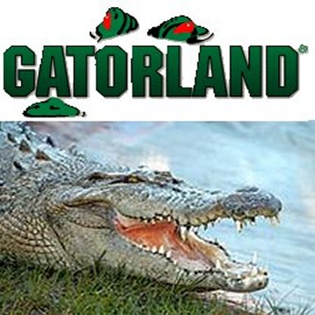 Gatorland Orlando