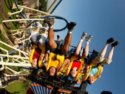 Busch Gardens Rollercoasters