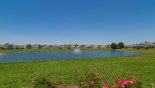 Attractive landscaping around Hampton Lakes
