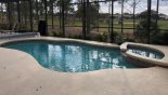Orlando Villa for rent direct from owner, check out the South west facing pool & spa with golf course views beyond pine trees
