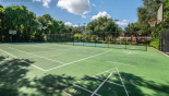 Villa rentals near Disney direct with owner, check out the Basketball, Tennis, Shuffleboard and Pickle Ball Courts