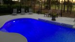 Pool with colour changing underwater lighting with this Orlando Villa for rent direct from owner