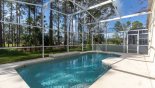Wynnewood 3 Villa rental near Disney with Pool screen with privacy panels on both sides