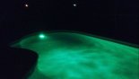 Colour changing underwater lighting - www.iwantavilla.com is your first choice of Villa rentals in Orlando direct with owner